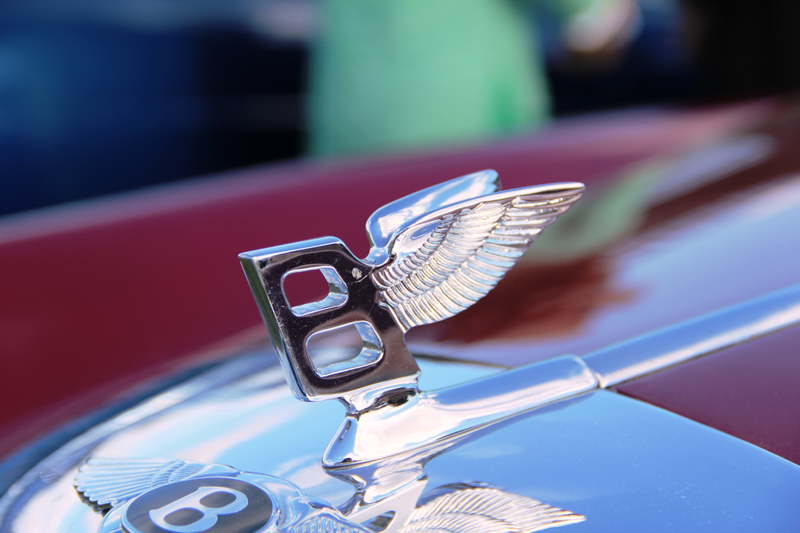 Illustration for article titled Car Spotting at the Virginia Gold Cup